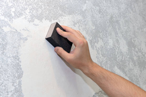 Best Post-Construction Mold Inspection  in Ross, OH
