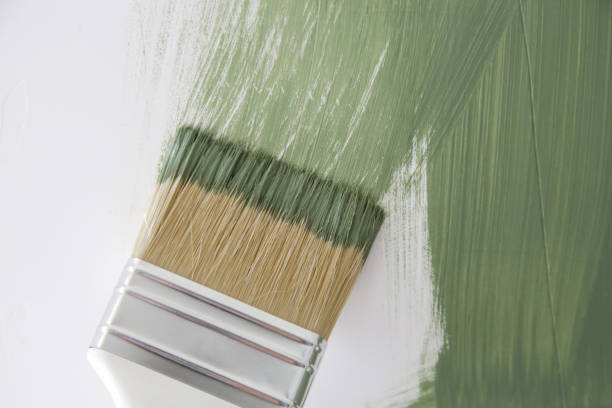 Best Attic Mold Removal  in Ross, OH
