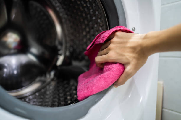 Best Mold Odor Removal Services  in Ross, OH