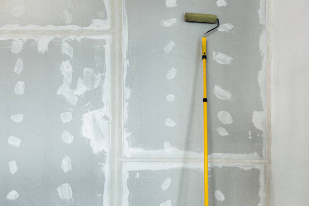 Best Mold Remediation for Healthcare Facilities  in Ross, OH