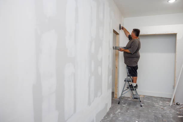 Best Industrial Mold Remediation  in Ross, OH
