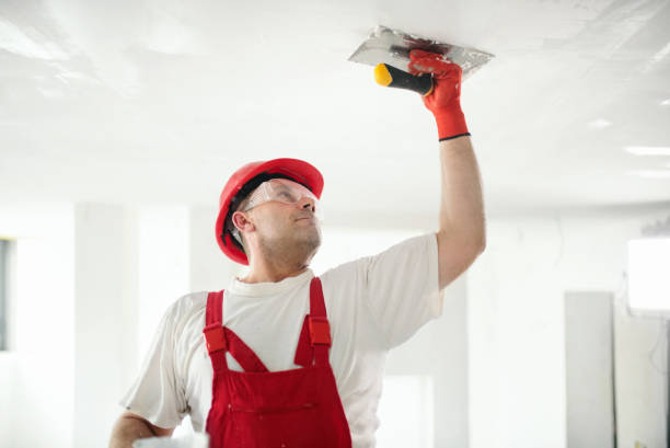 Professional Mold Removal in Ross, OH