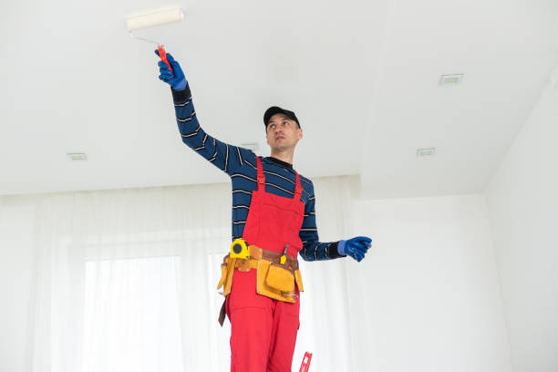 Best Industrial Mold Remediation  in Ross, OH