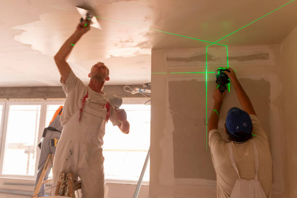 Best Water Damage & Mold Remediation  in Ross, OH