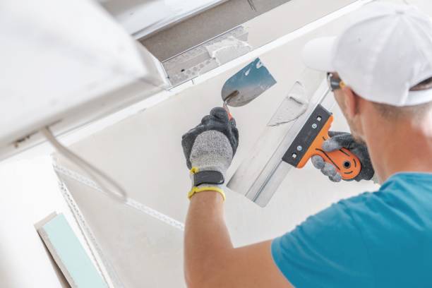 Best Mold Documentation for Insurance Claims  in Ross, OH